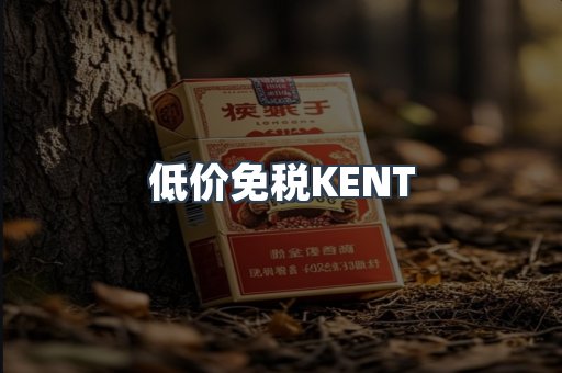 低价免税KENT